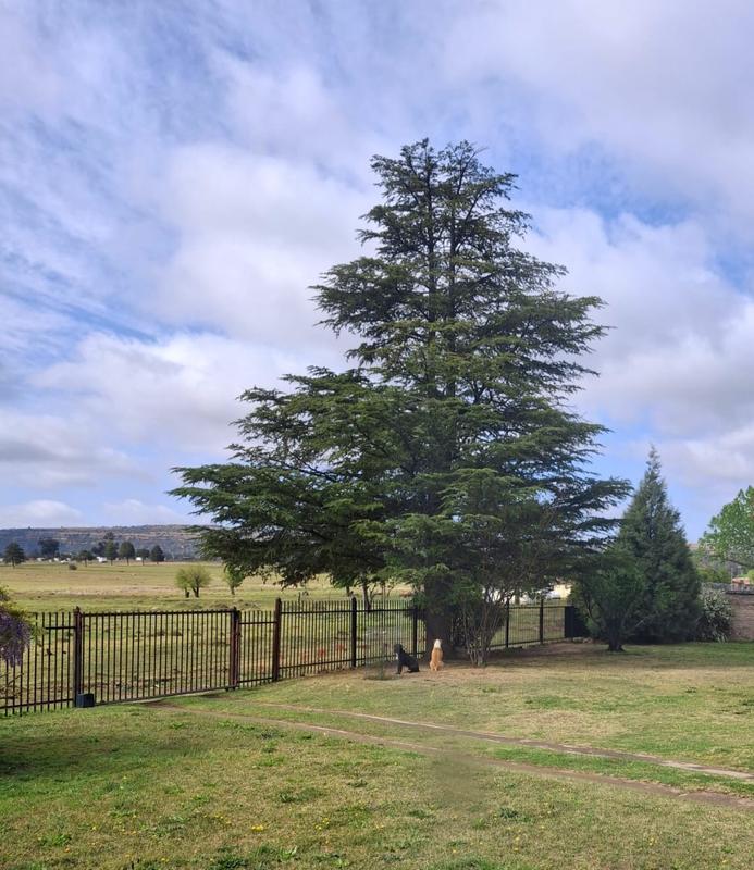 3 Bedroom Property for Sale in Ladybrand Free State